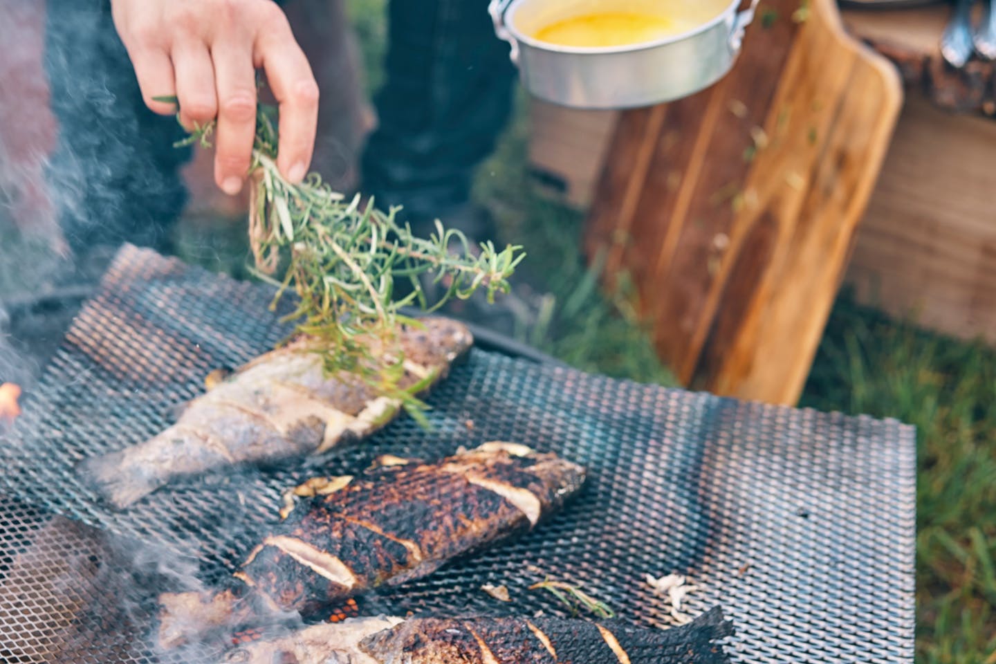 Fisch am Grill mit Rosmarin gewürzt